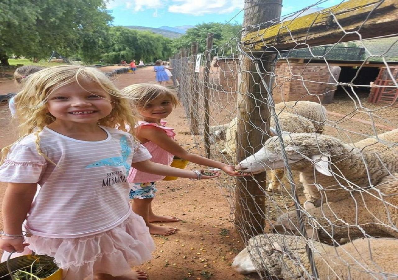 Wilgewandel Holiday Farm & Day Restaurant Oudtshoorn Exteriör bild