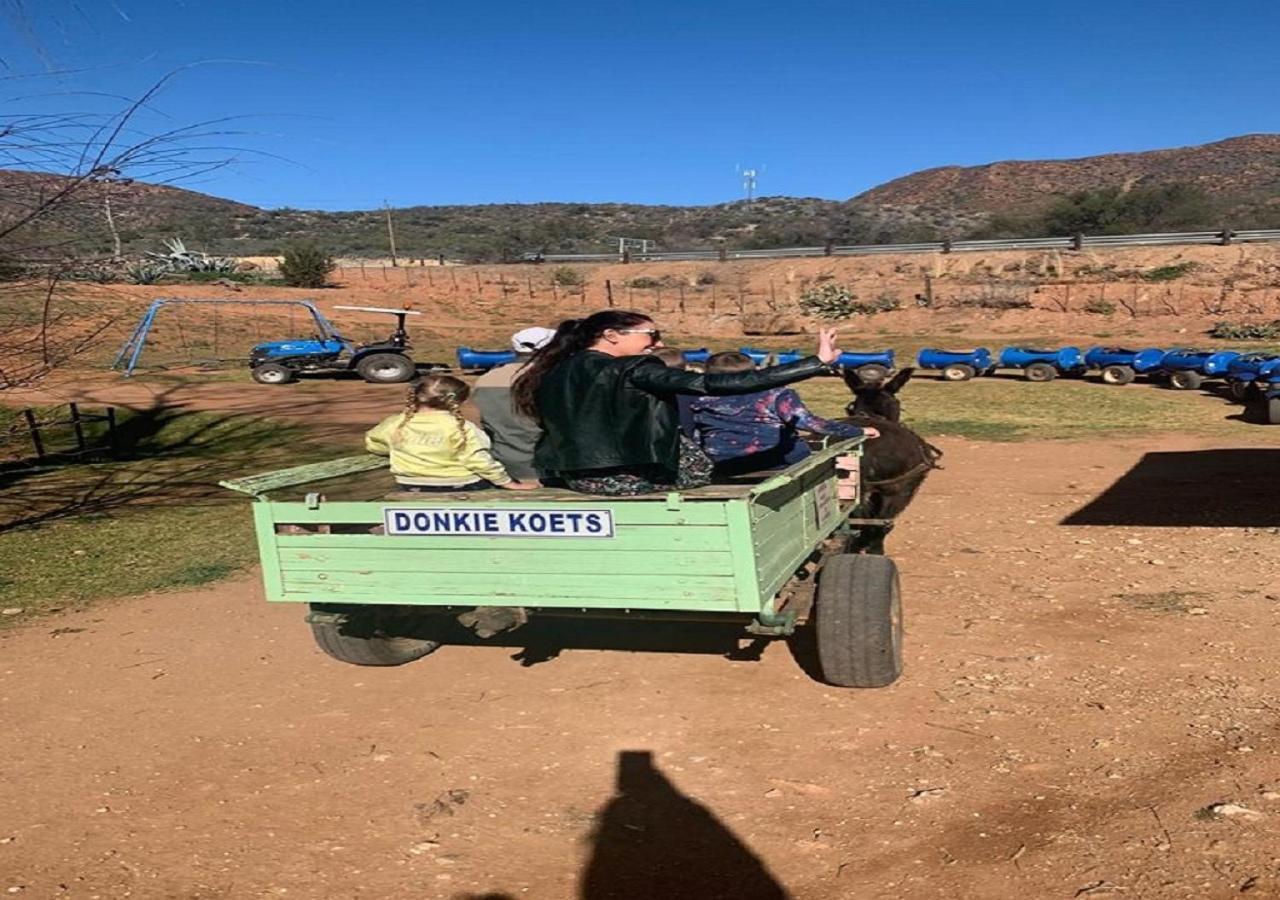 Wilgewandel Holiday Farm & Day Restaurant Oudtshoorn Exteriör bild