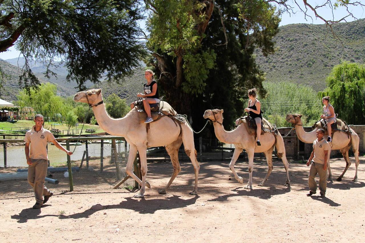 Wilgewandel Holiday Farm & Day Restaurant Oudtshoorn Exteriör bild