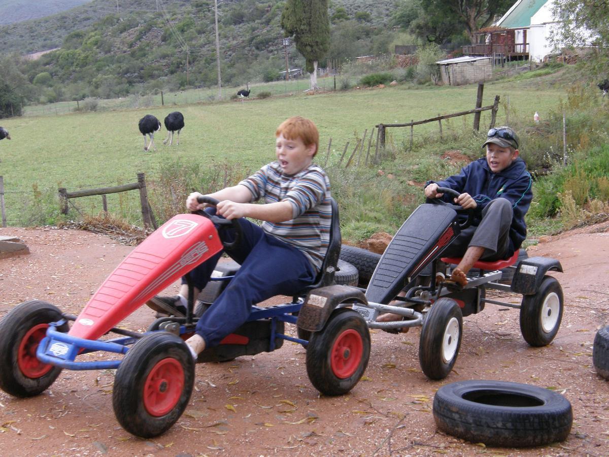 Wilgewandel Holiday Farm & Day Restaurant Oudtshoorn Exteriör bild