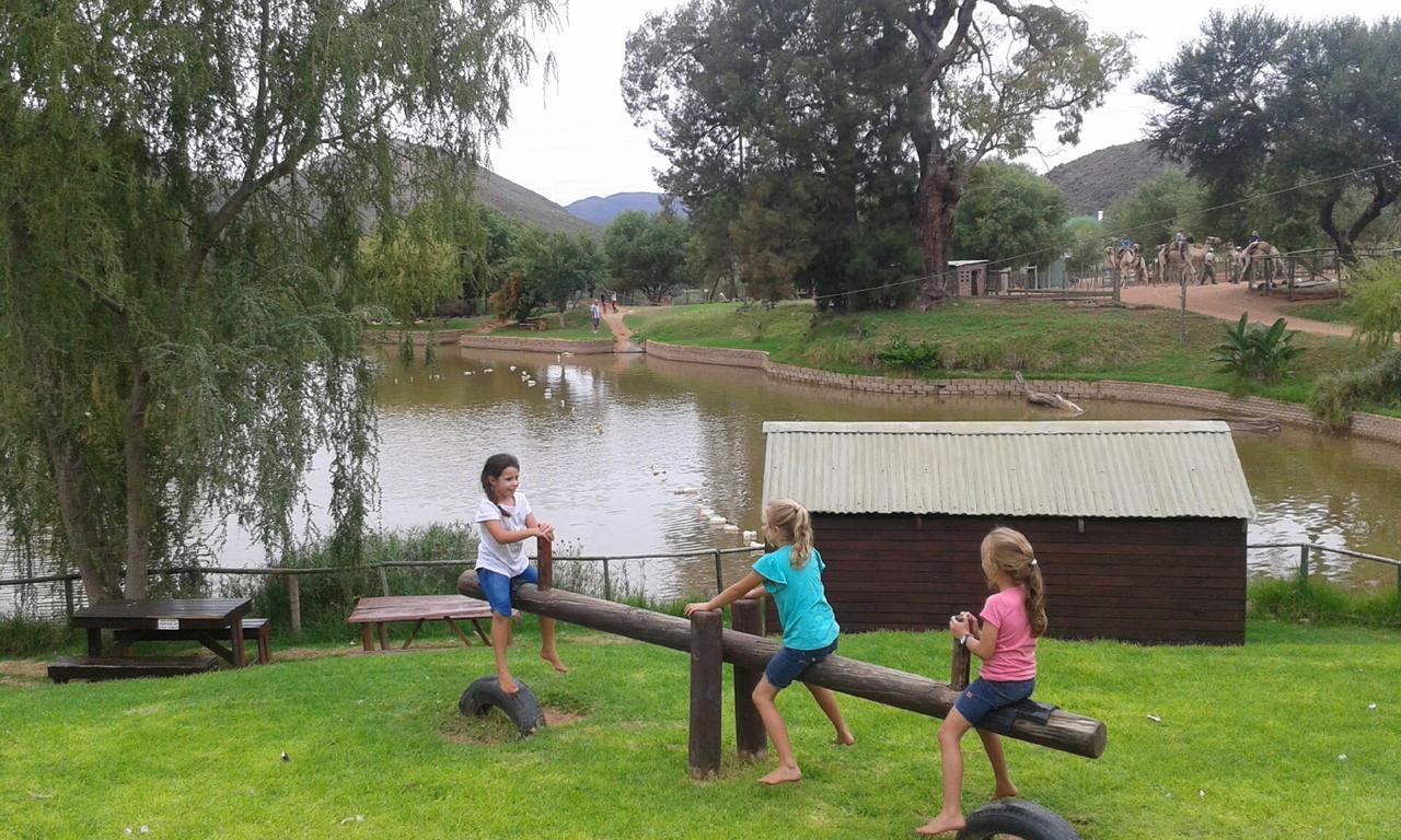 Wilgewandel Holiday Farm & Day Restaurant Oudtshoorn Exteriör bild
