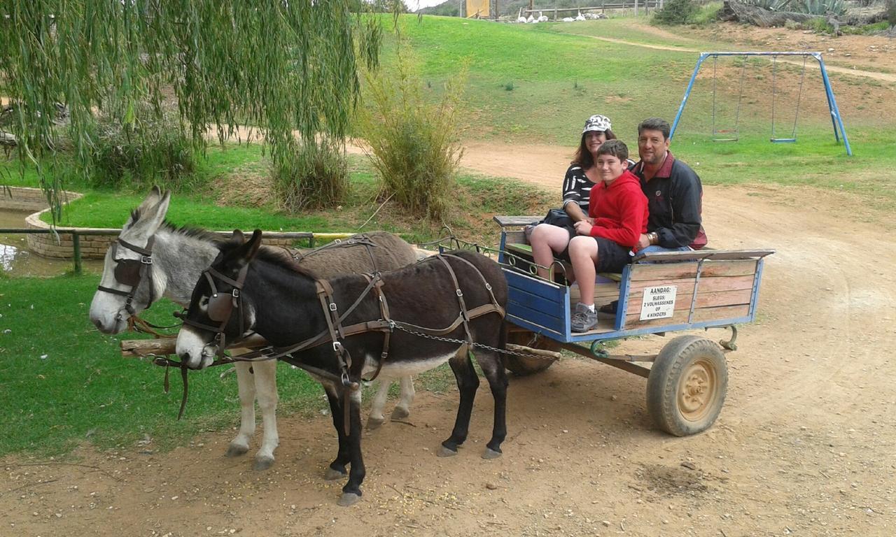 Wilgewandel Holiday Farm & Day Restaurant Oudtshoorn Exteriör bild
