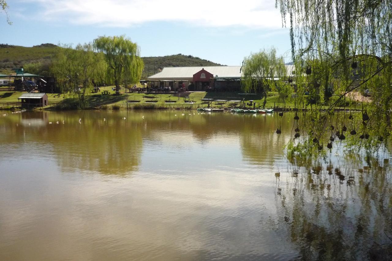 Wilgewandel Holiday Farm & Day Restaurant Oudtshoorn Exteriör bild