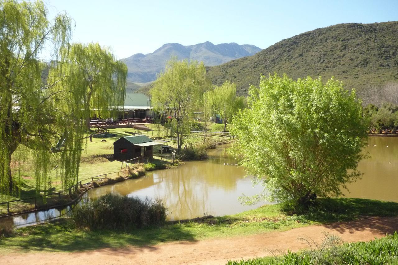 Wilgewandel Holiday Farm & Day Restaurant Oudtshoorn Exteriör bild
