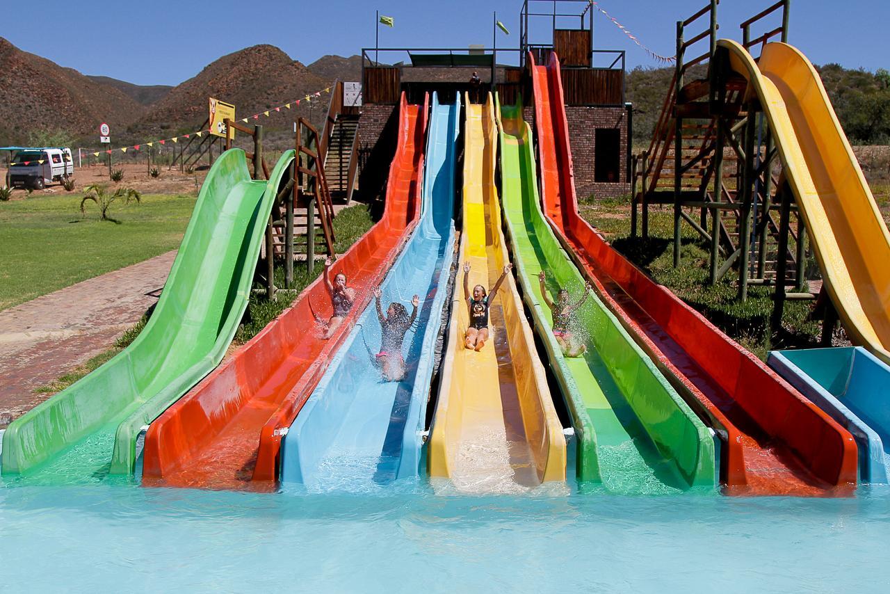 Wilgewandel Holiday Farm & Day Restaurant Oudtshoorn Exteriör bild